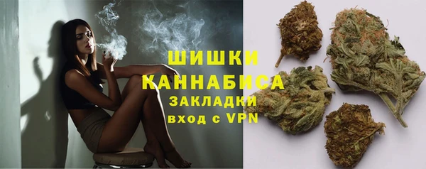 гидра Бронницы