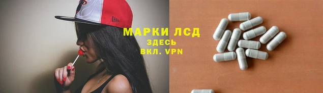 гидра Бронницы