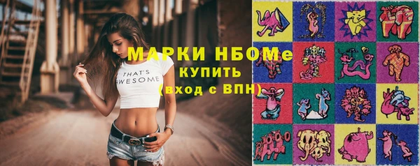 крисы Богородицк