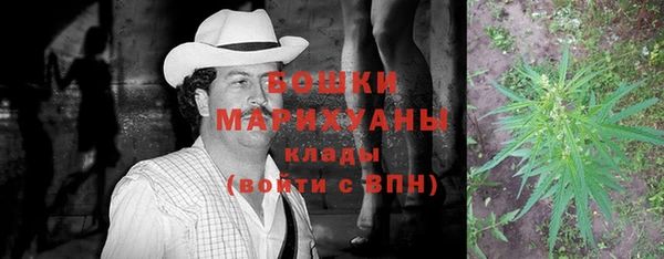 крисы Богородицк