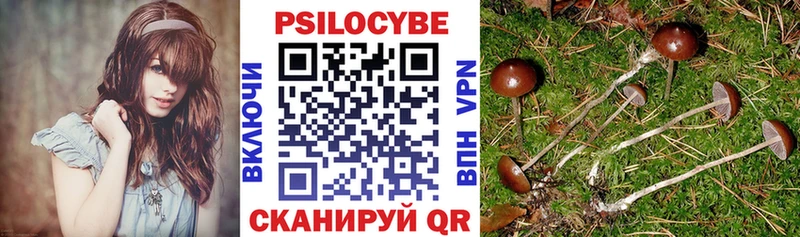 Купить  Костомукша  Галлюциногенные грибы ЛСД 