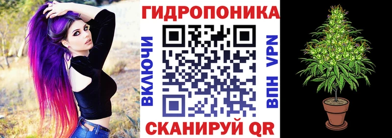 Марихуана White Widow  Купить закладки  Костомукша 